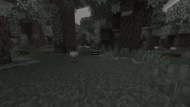 Solas Shader thumbnail