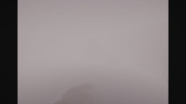 Cursed Fog thumbnail